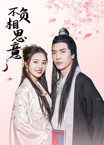 不负相思意封面图
