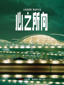 心之所向封面图