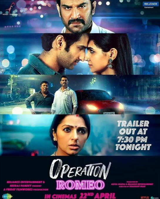 厄夜邂逅封面图