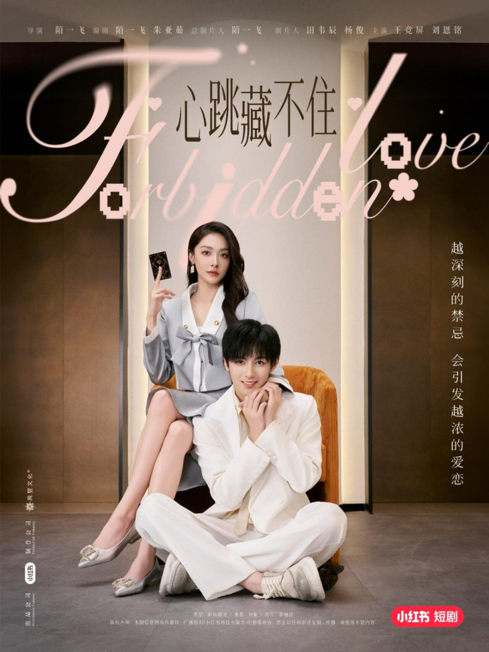 心跳藏不住封面图