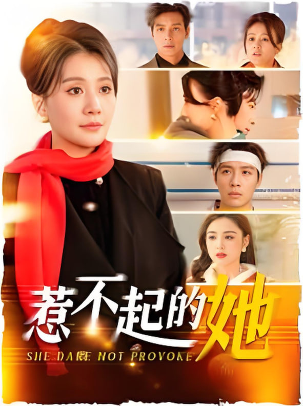 惹不起的她2025封面图