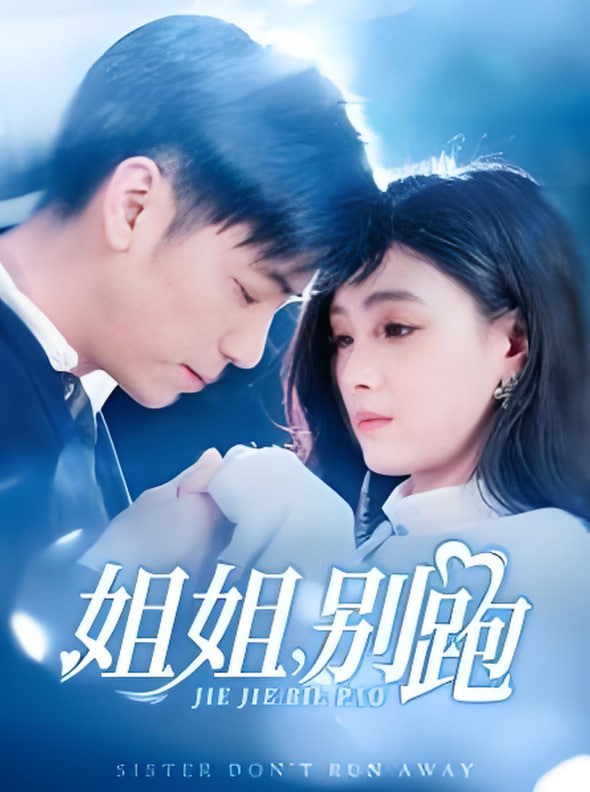 姐姐别跑封面图