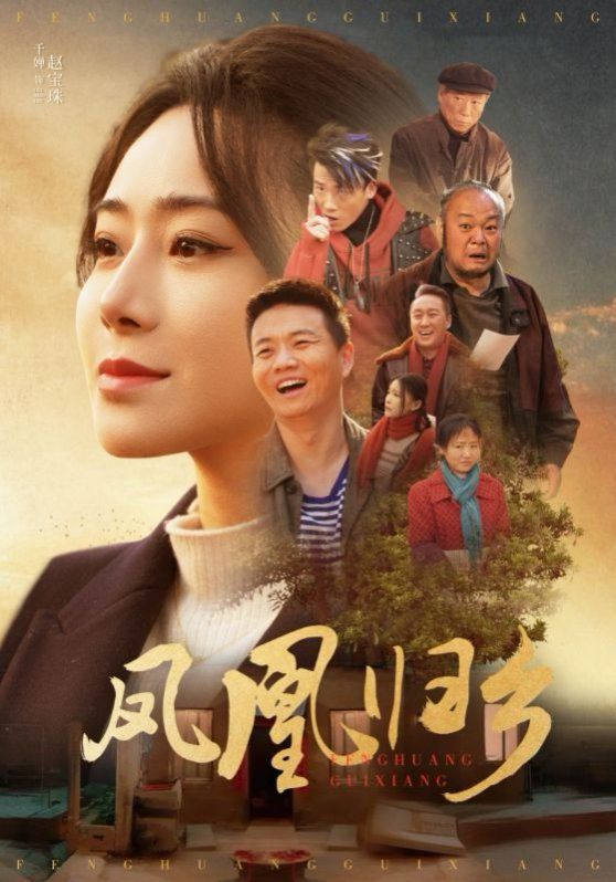 凤凰归乡封面图