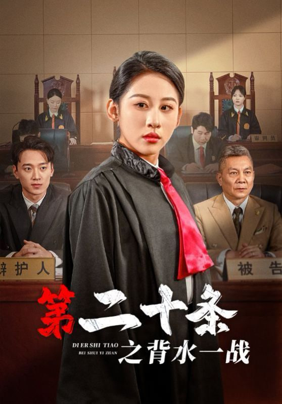 第二十条之背水一战封面图