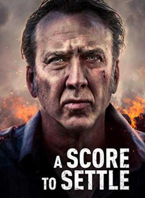 报仇雪恨封面图