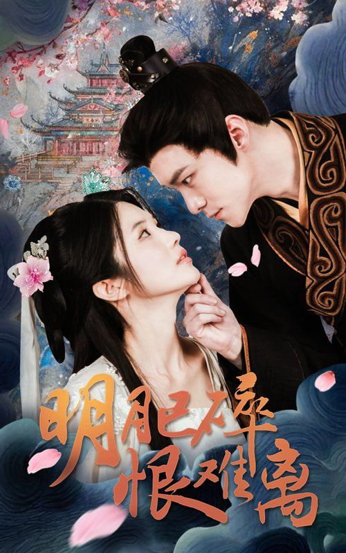 明月已碎恨难离封面图