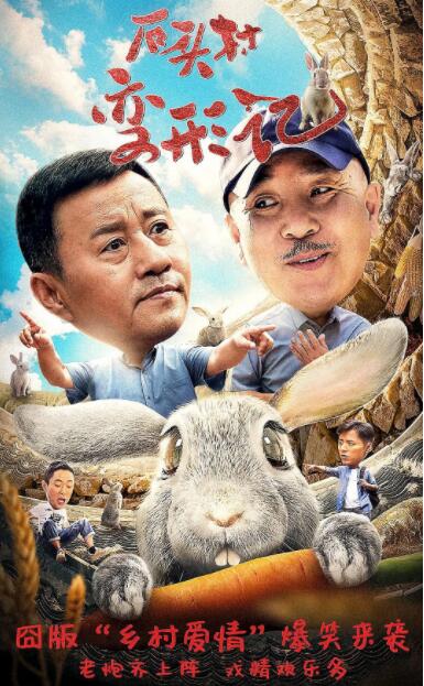 石头村变形记封面图