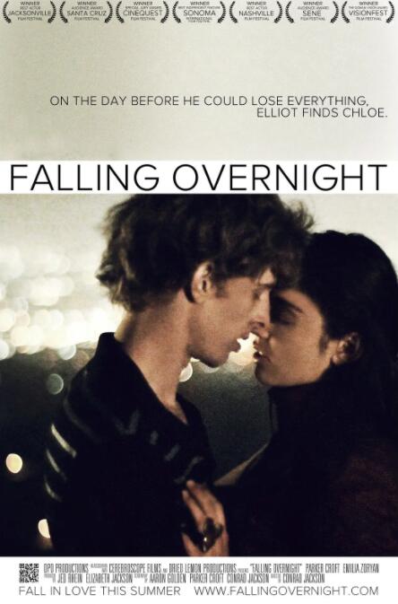 一夜钟情封面图