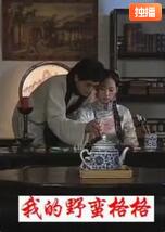 我的野蛮格格封面图