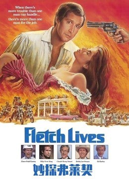 妙探弗莱契封面图