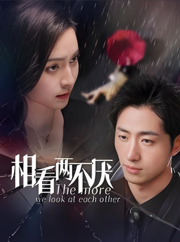 最后一个侠客封面图