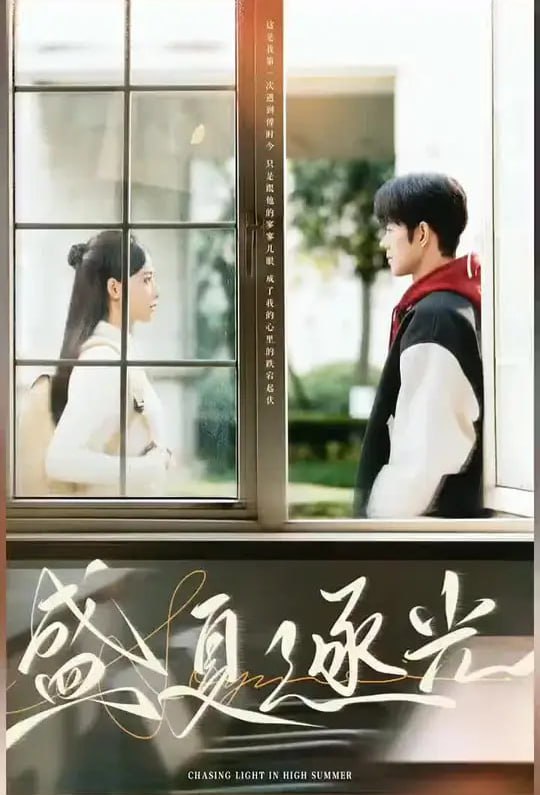 盛夏逐光封面图