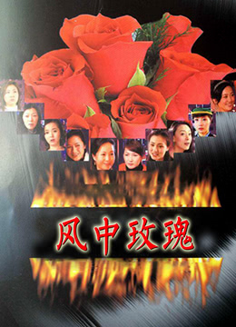 风中玫瑰封面图