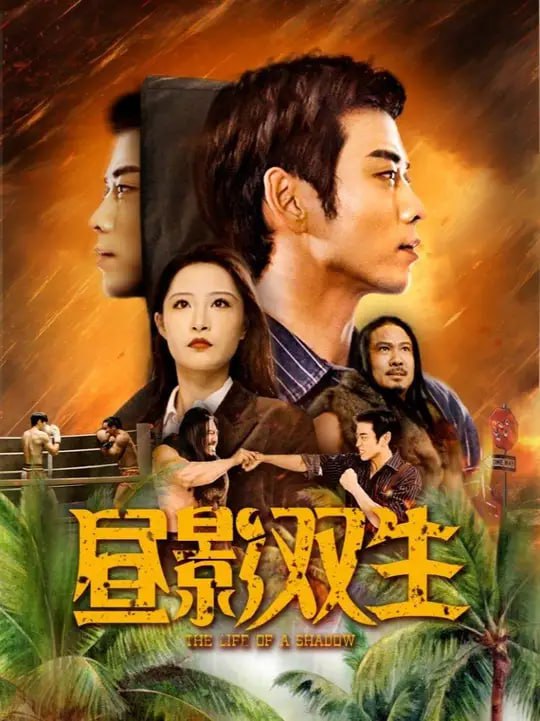 昼影双生告封面图