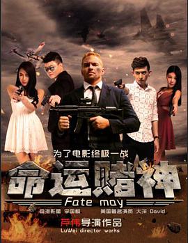 命运赌神封面图