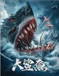 大鲨鱼封面图