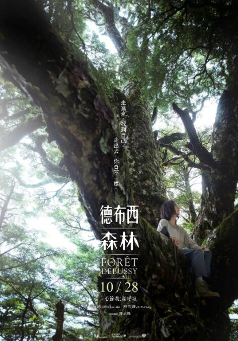 德布西森林封面图