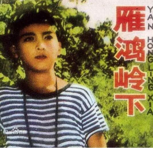 雁鸿岭下封面图