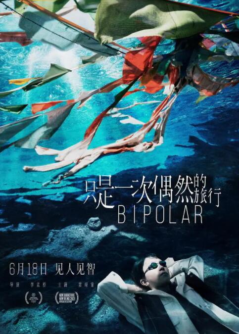 只是一次偶然的旅行封面图