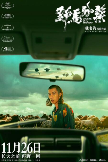 野马分鬃封面图