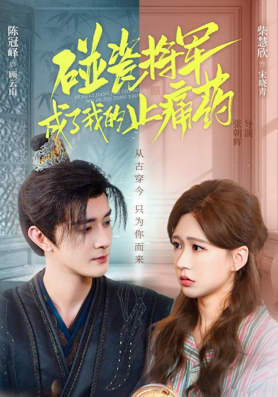 碰瓷将军成了我的止痛药封面图