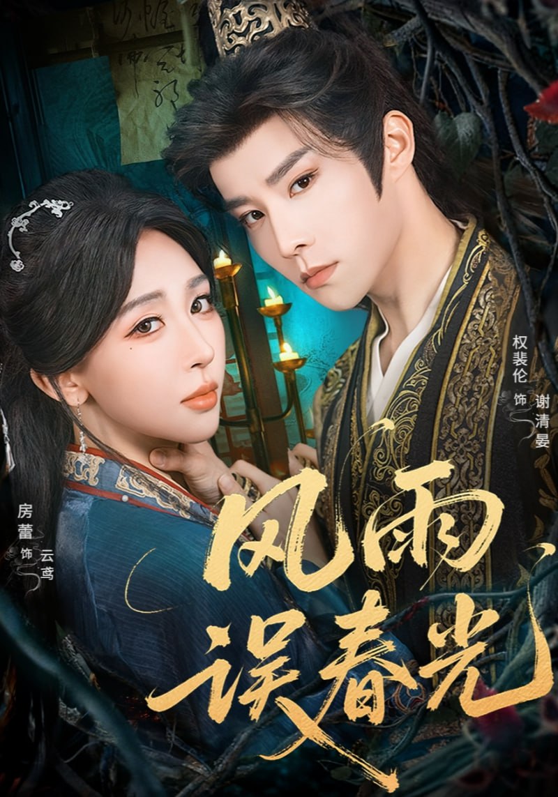 风雨误春光（七年寒鸢）封面图