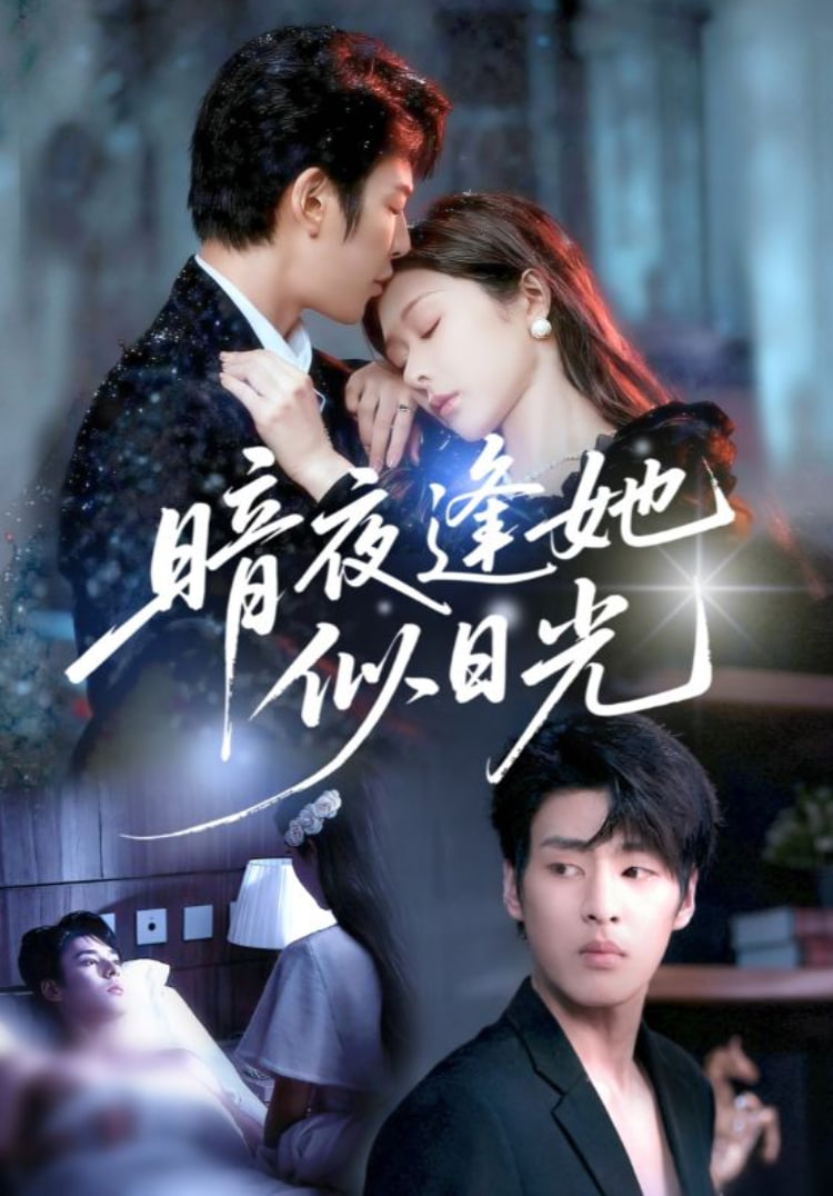 暗夜逢她似日光封面图