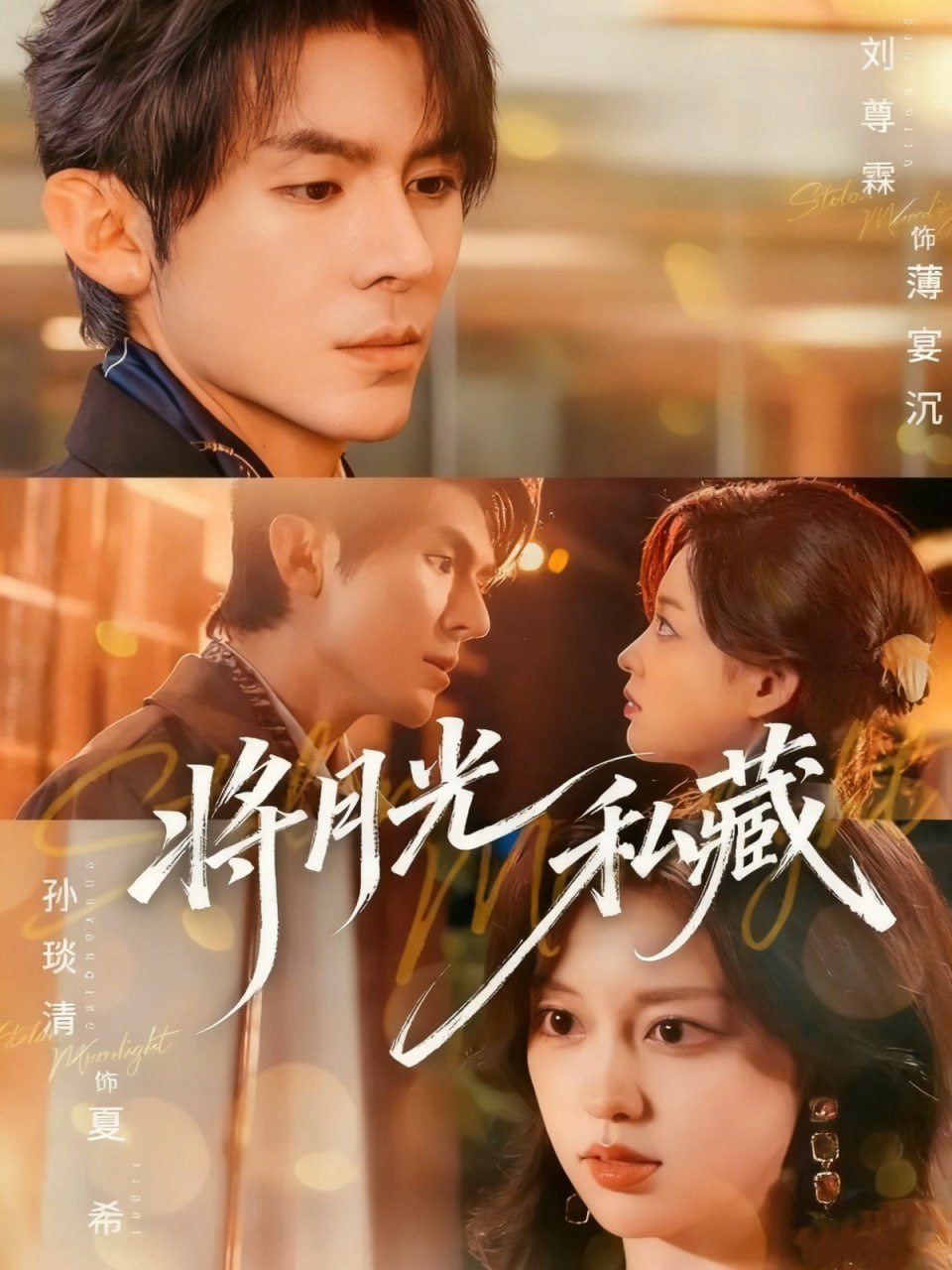 将月光私藏封面图