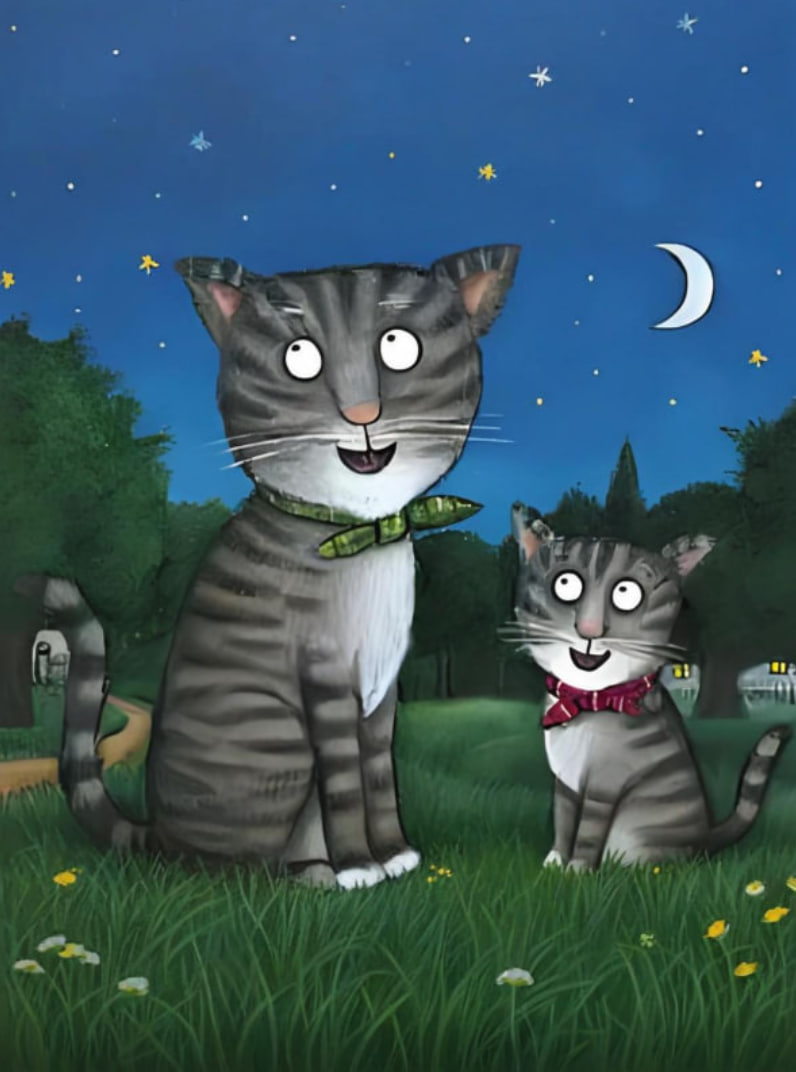 猫咪塔比封面图