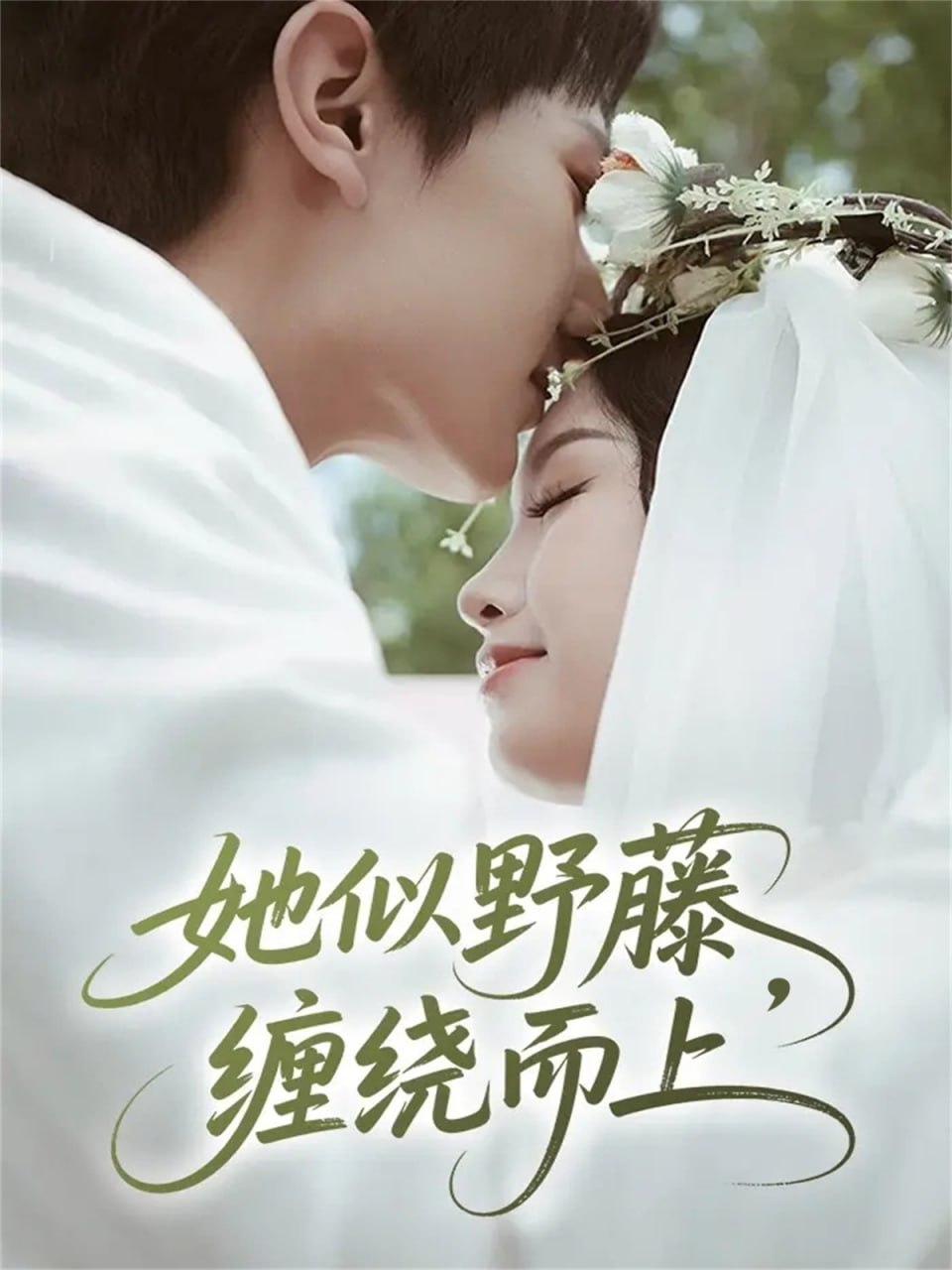 她似野藤，缠绕而上封面图