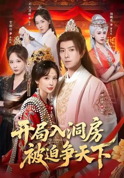 开局入洞房，被迫争天下封面图