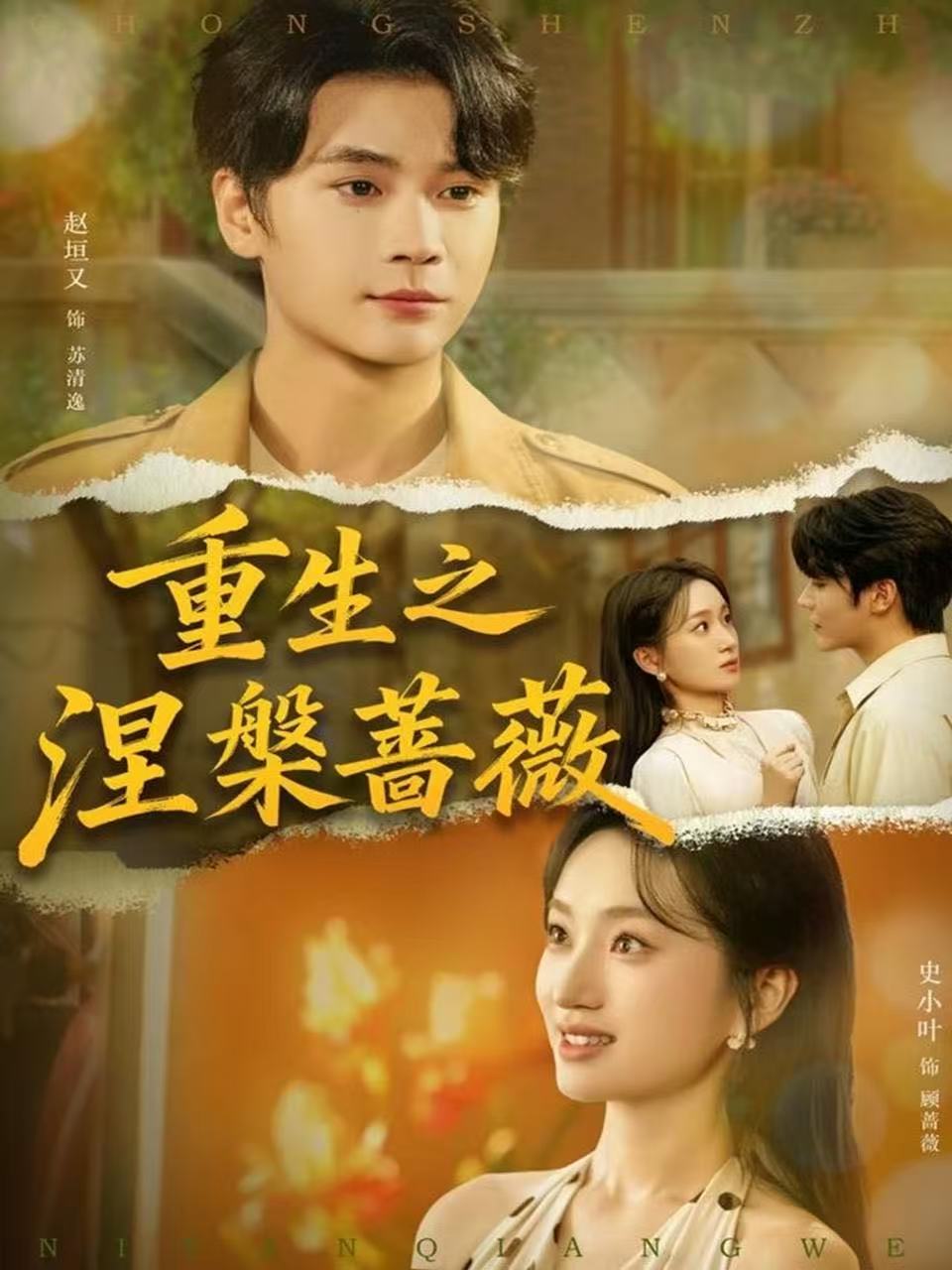 重生之涅槃蔷薇封面图