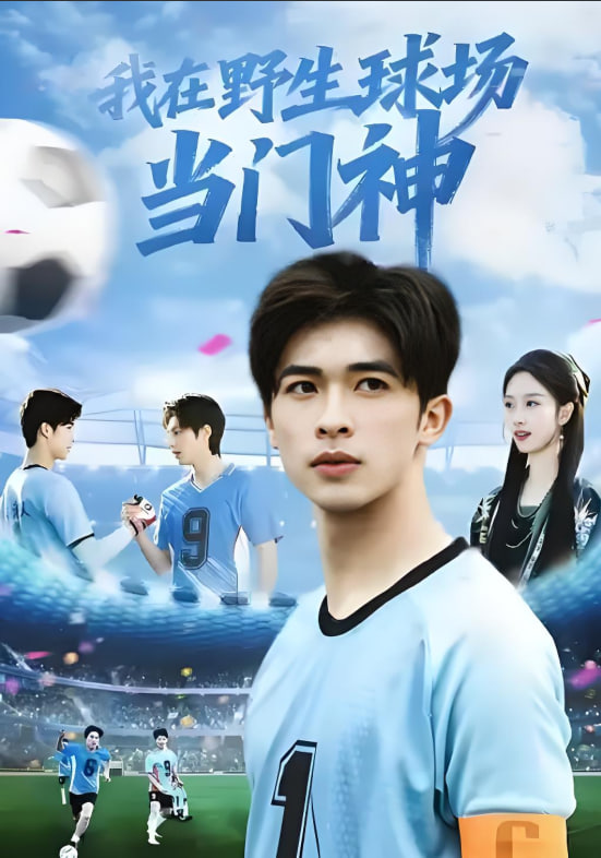 我在野生球场当门神封面图