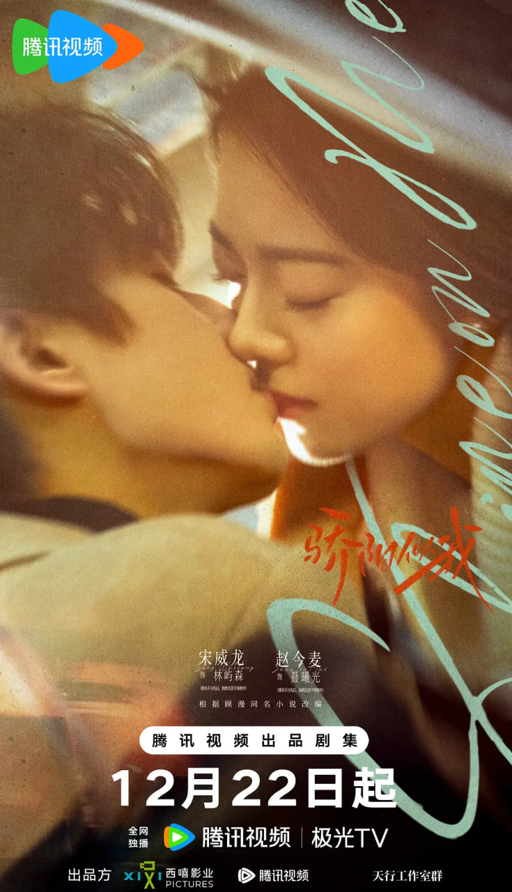 骄阳似我封面图