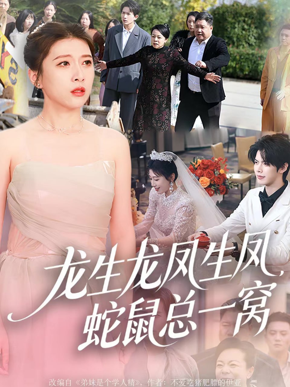 龙生龙凤生凤，蛇鼠总一窝封面图