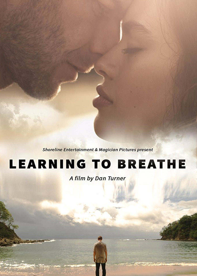 又见初恋封面图