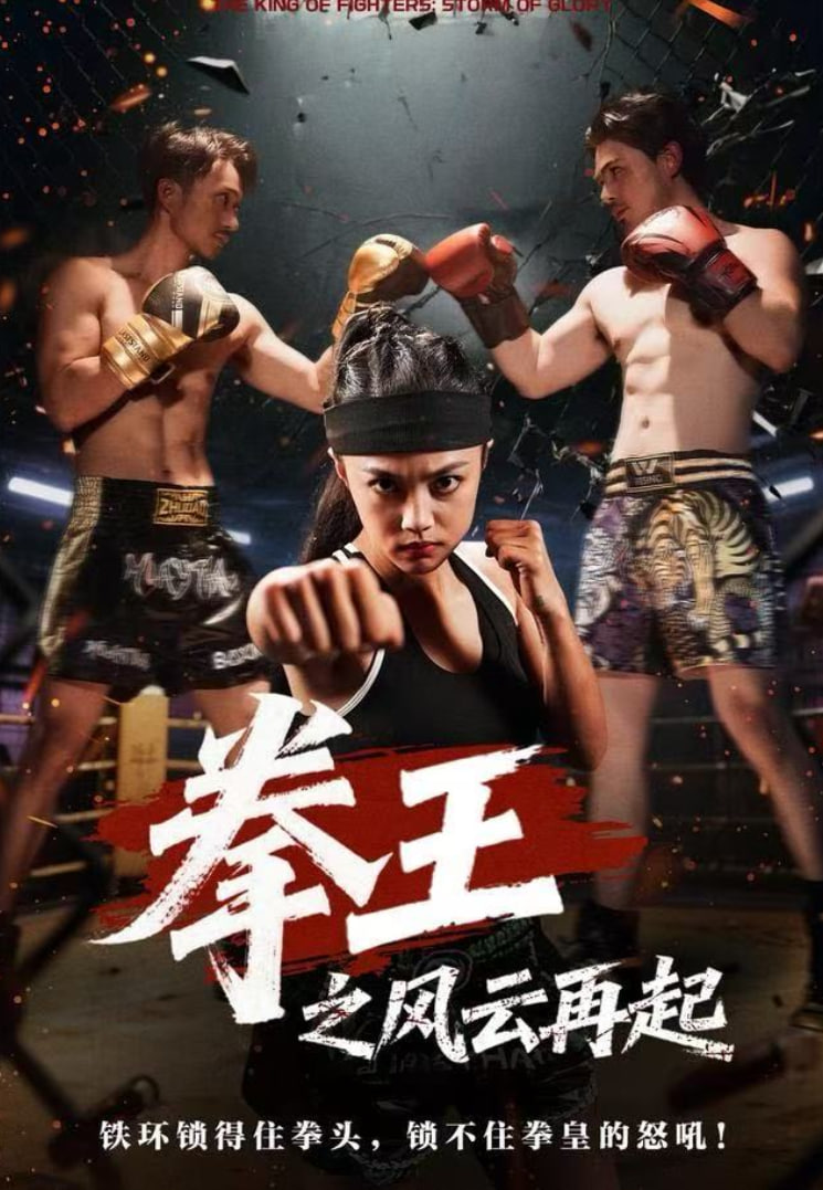 拳王之风云再起封面图