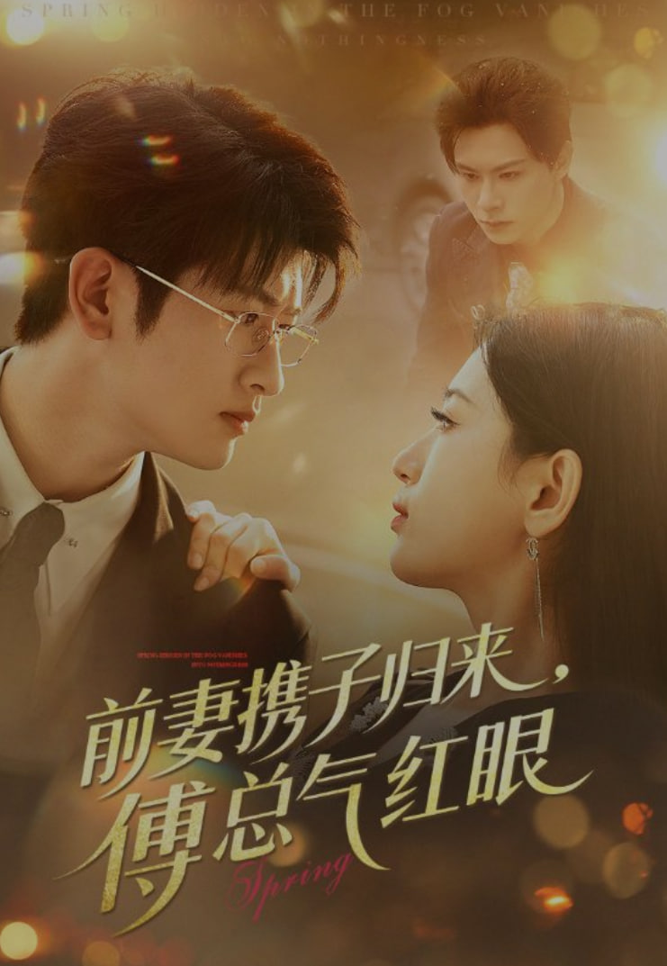 前妻携子归来傅总气红眼封面图