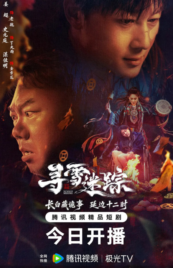 寻雪迷踪封面图