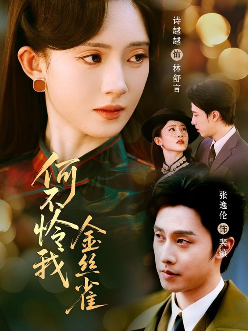 何不怜我金丝雀封面图