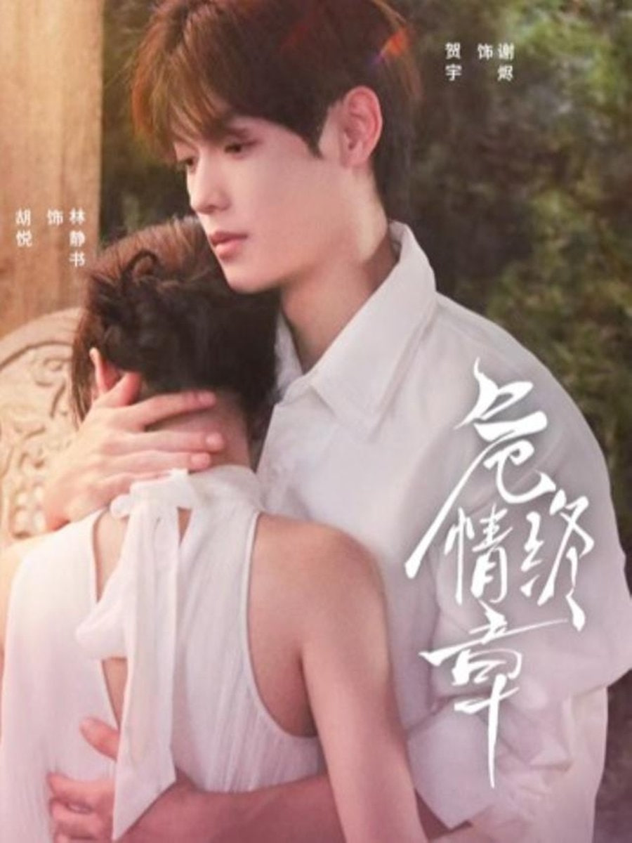 危情终章封面图