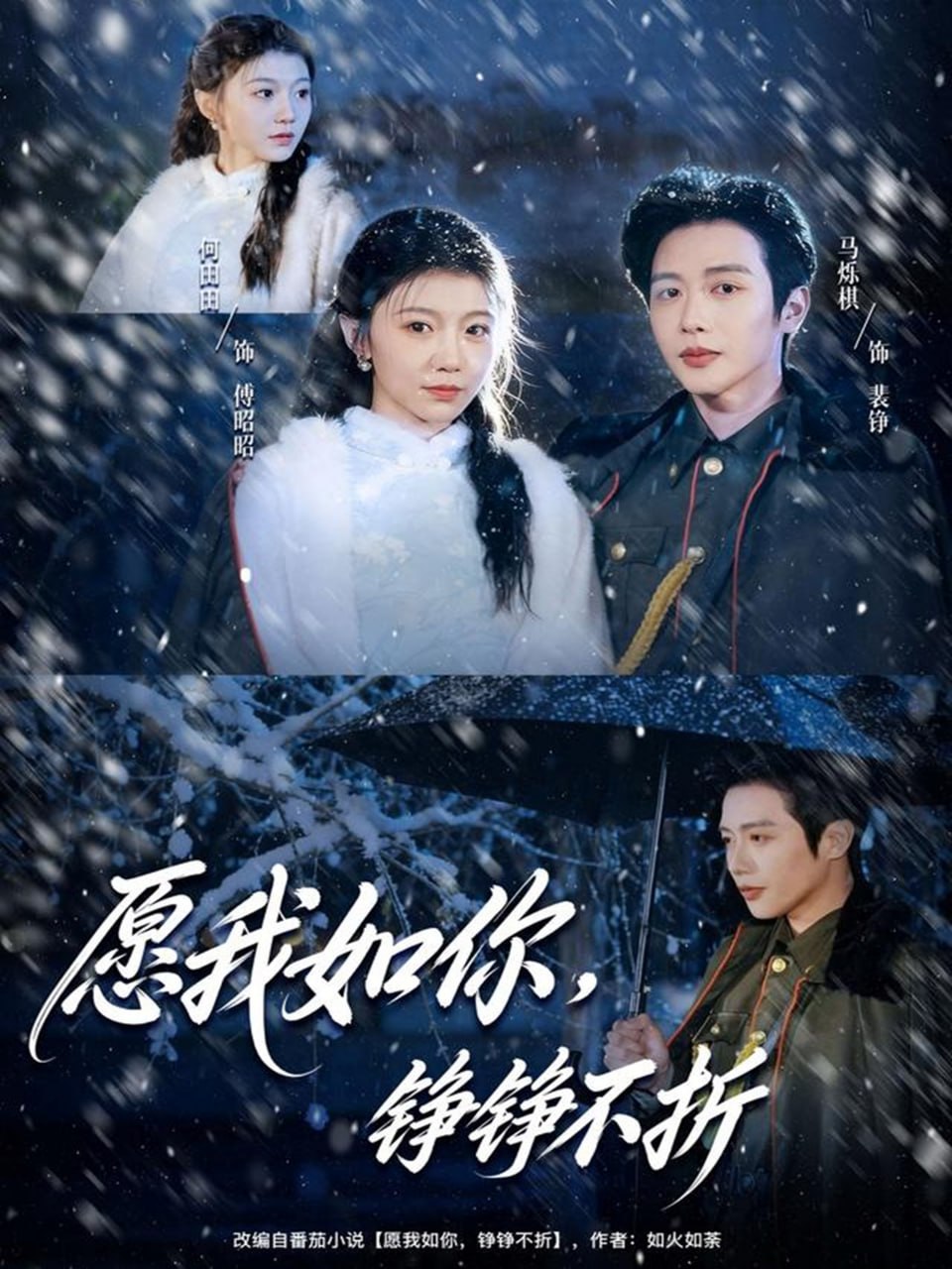 愿我如你，铮铮不折封面图