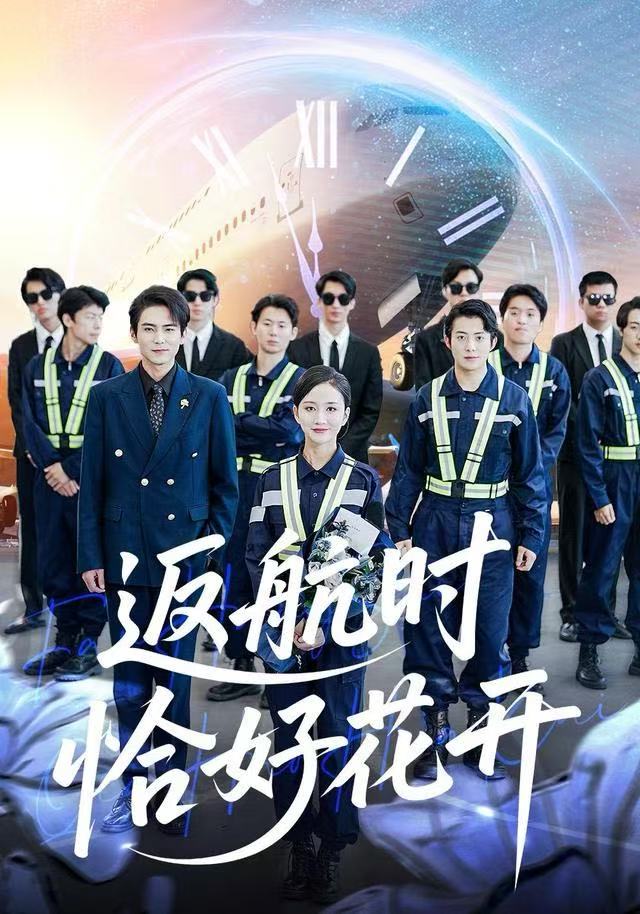 返航时恰好花开封面图