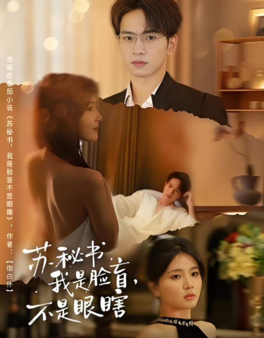 苏秘书我是脸盲不是眼瞎封面图