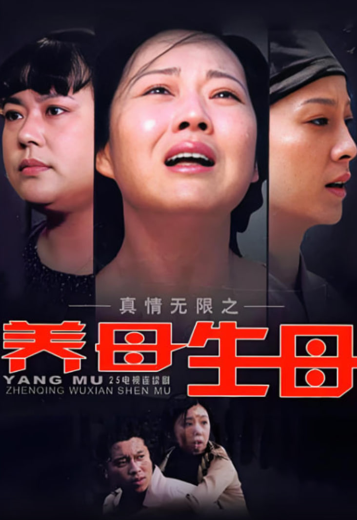 真情无限之养母生母封面图