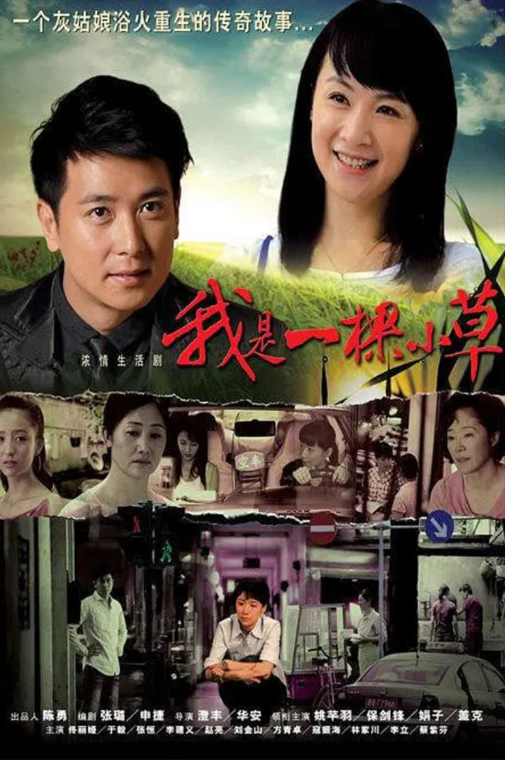 我是一棵小草封面图