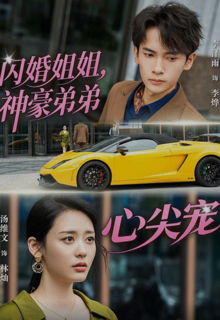 闪婚姐姐，神豪弟弟心尖宠封面图