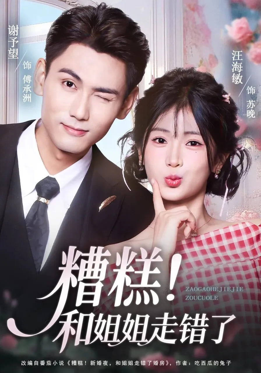 糟糕和姐姐走错了封面图