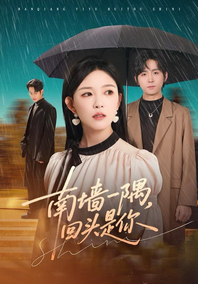 南墙一隅，回头是你封面图