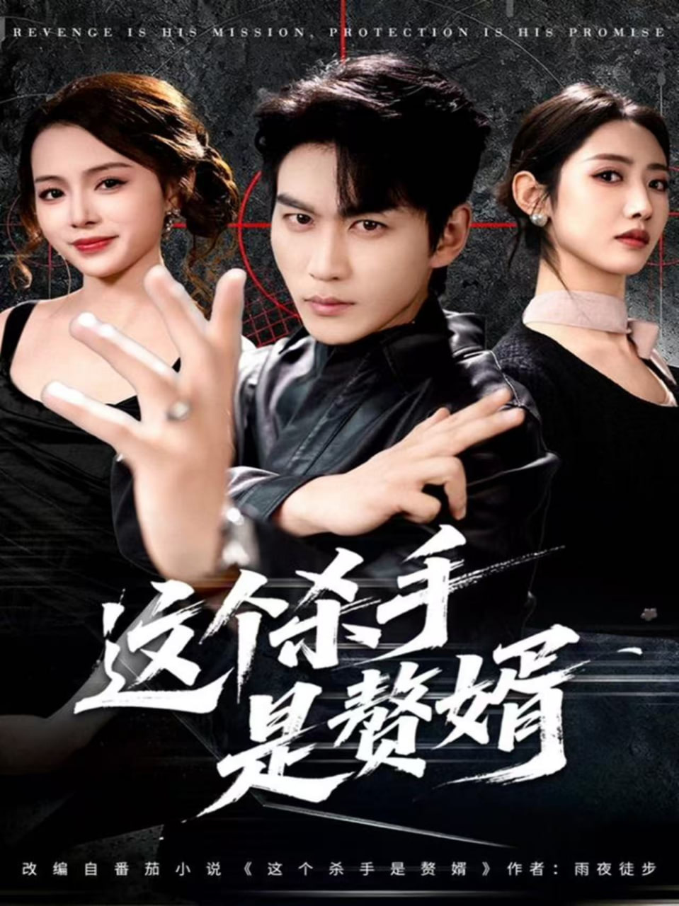 这个杀手是赘婿封面图